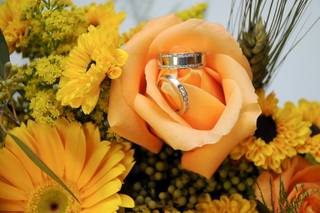 Crystal Clear Moments Wedding Services