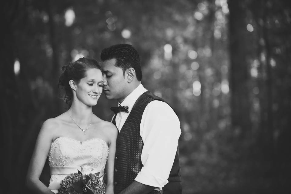 Asheville Wedding Photographer