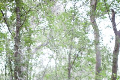 Lahra Bryant Photography