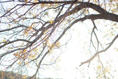 Lahra Bryant Photography
