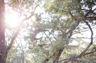 Lahra Bryant Photography