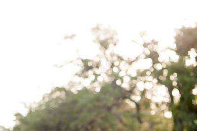 Lahra Bryant Photography