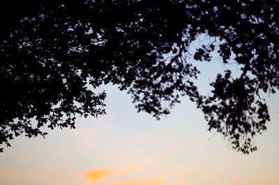 Lahra Bryant Photography