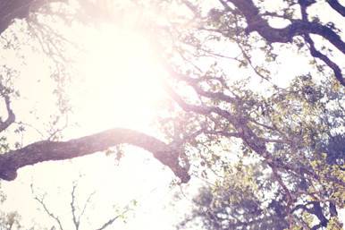 Lahra Bryant Photography