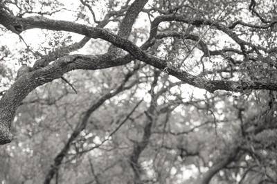 Lahra Bryant Photography