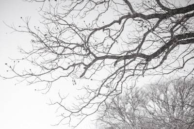 Lahra Bryant Photography