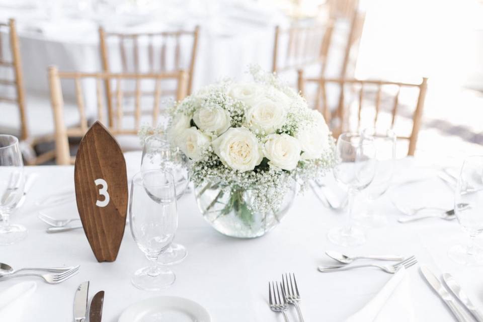 Simple White Roses