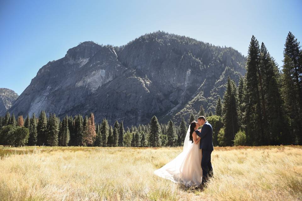 Yosemite Love Stories