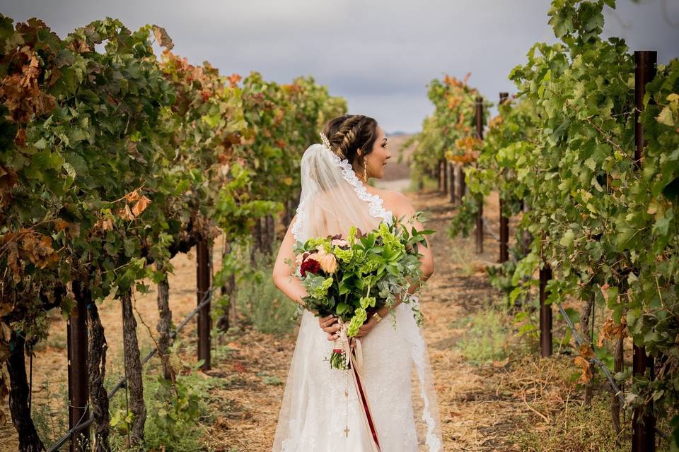 The bride in the vineyards