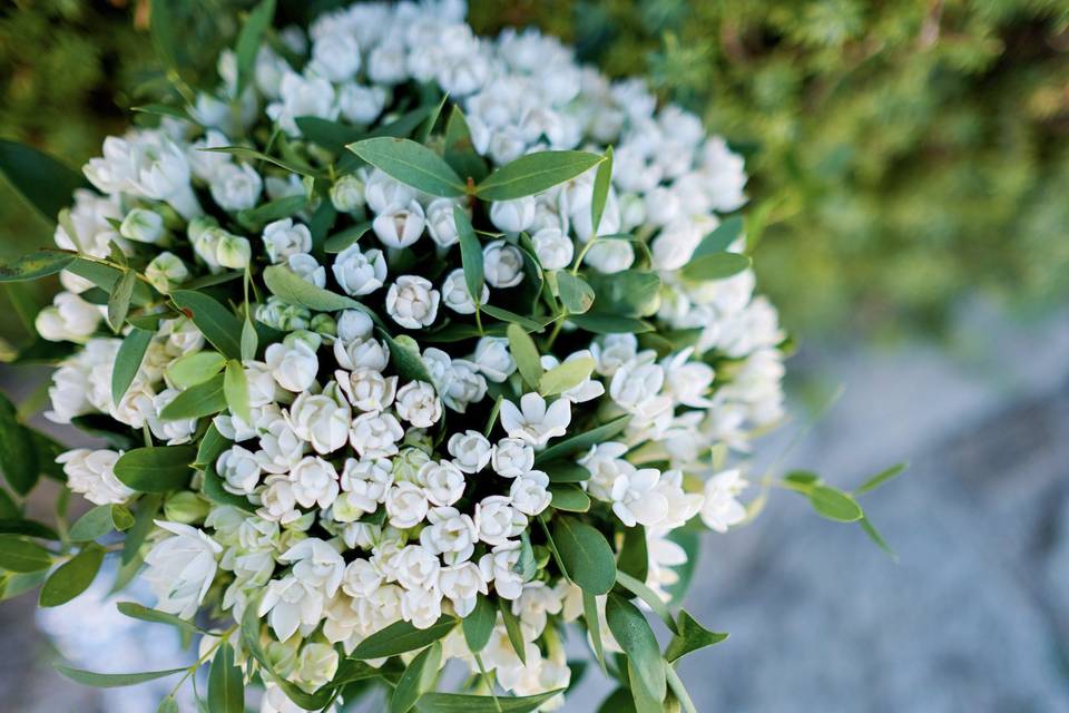 Fresh bouquet of flowers