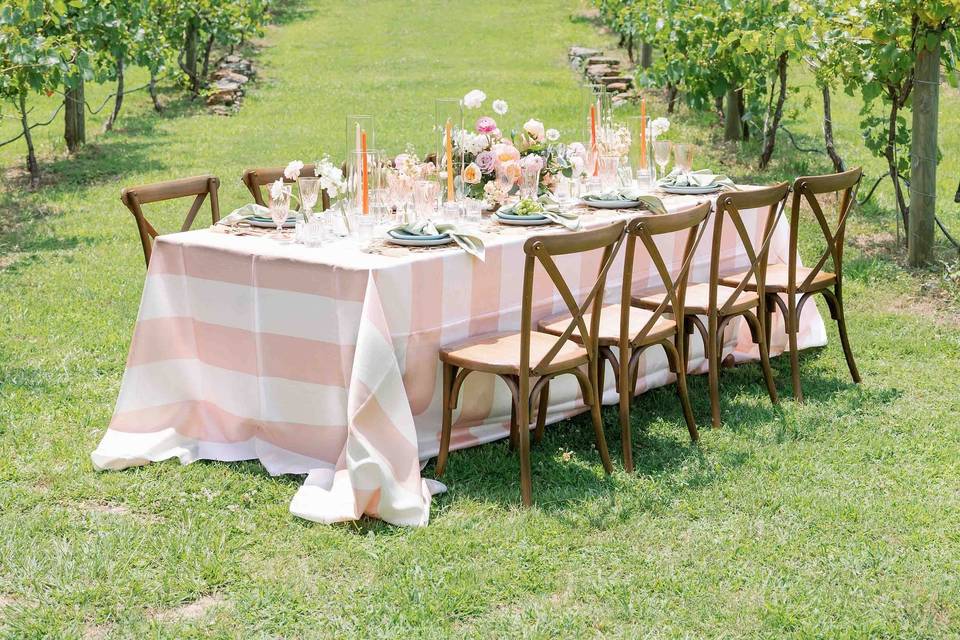 Table in Vineyard