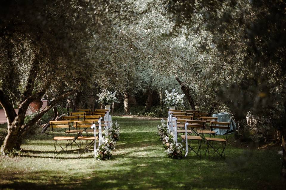 Ceremony under the olive grove