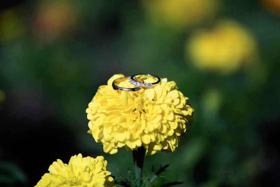 Wedding ring details - Kaitlyn Bernauer Photography