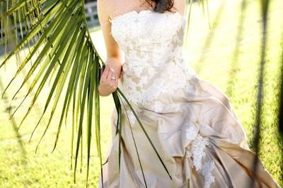 bridal, palm fronds, tree