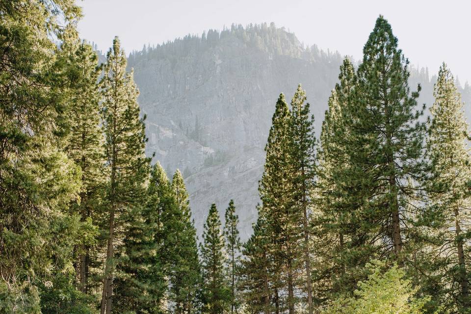 Yosemite Wedding