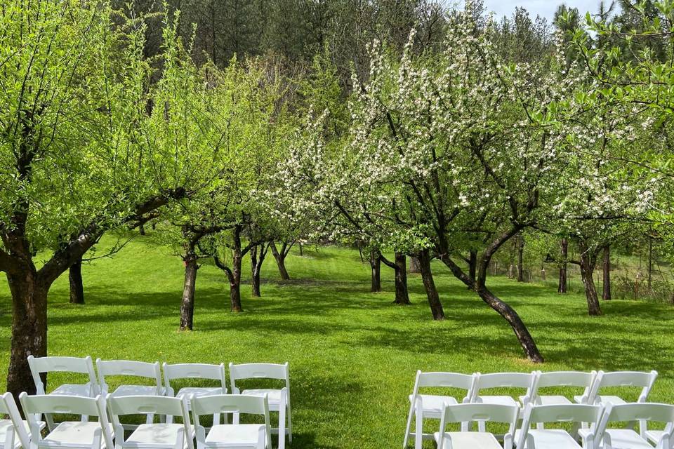 Big Canyon Acres Orchard