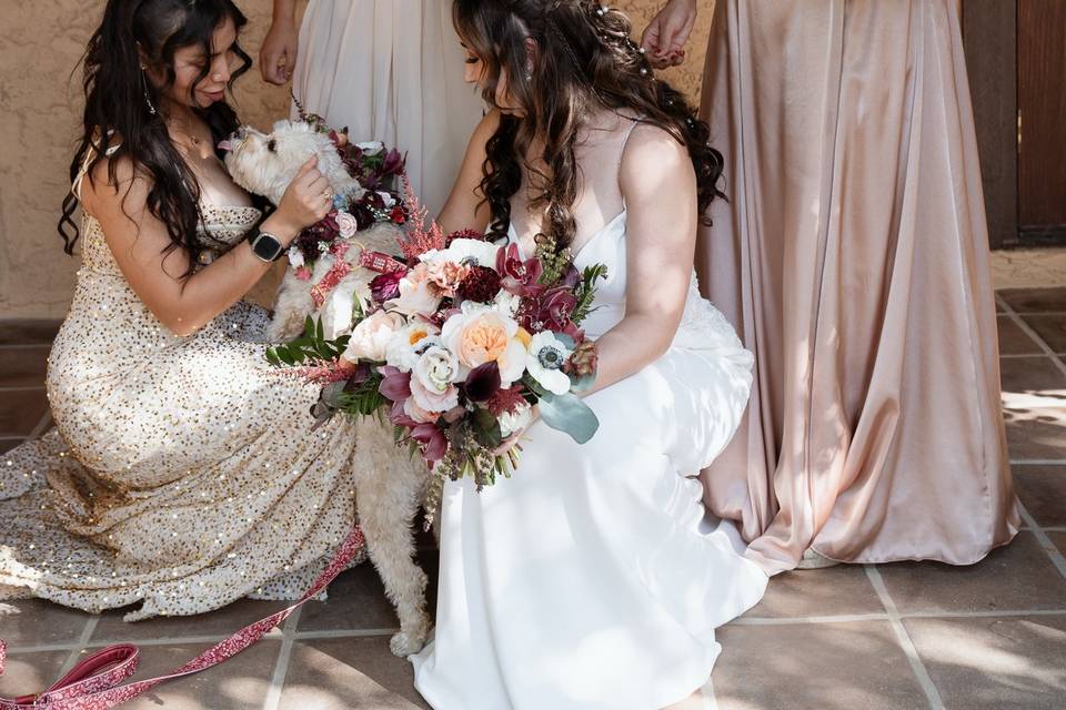 Bridal party with dog