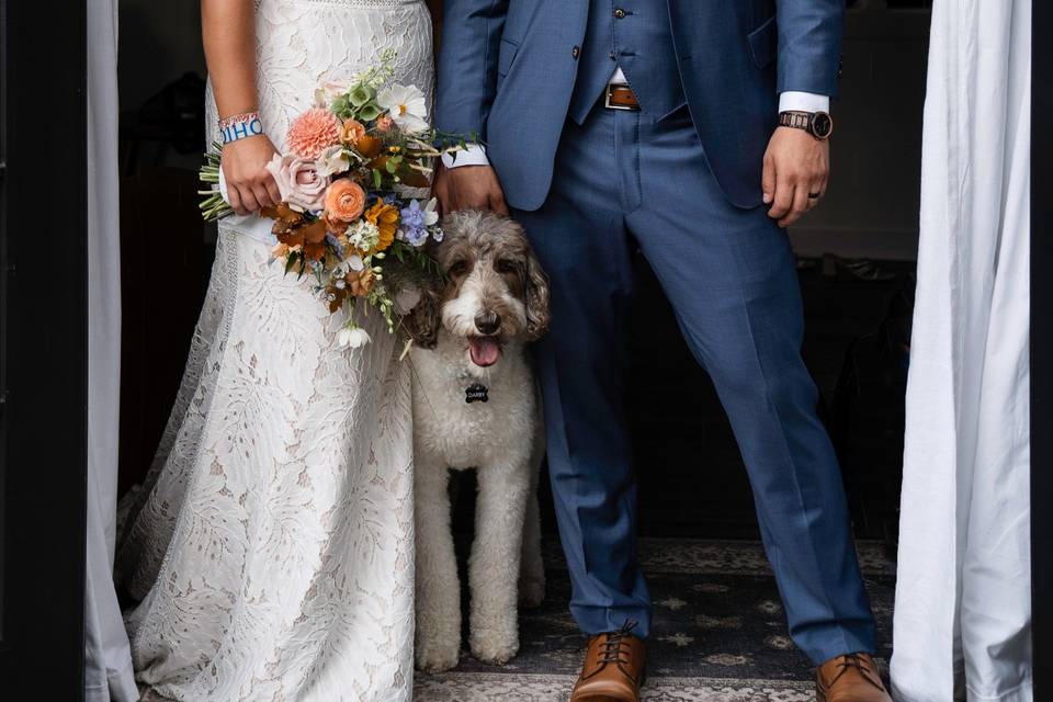 Bridal portrait with their dog