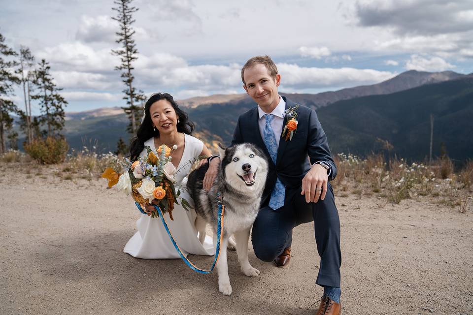 Bridal portrait with dog