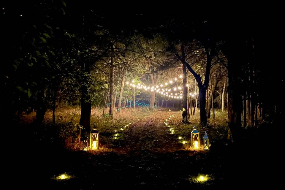 Enchanted woods