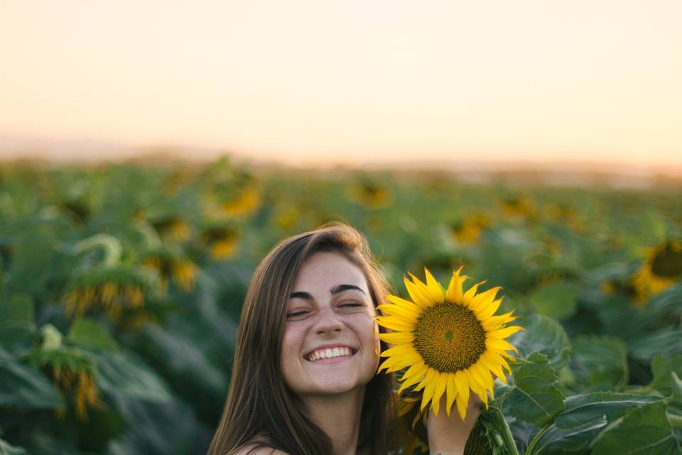 Love and sunflowers - Andy Woodward Photography