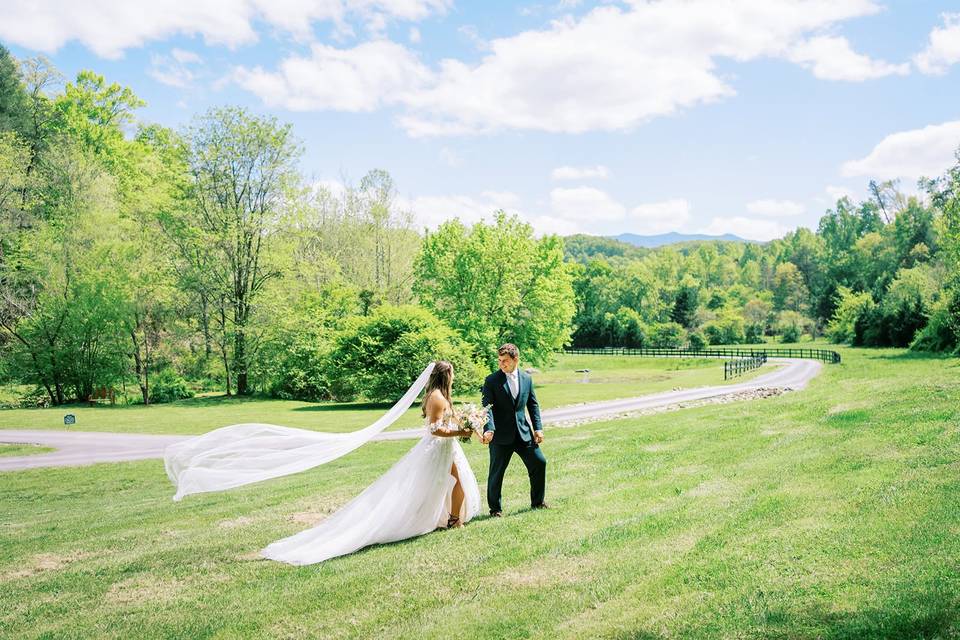 Blue mountain views