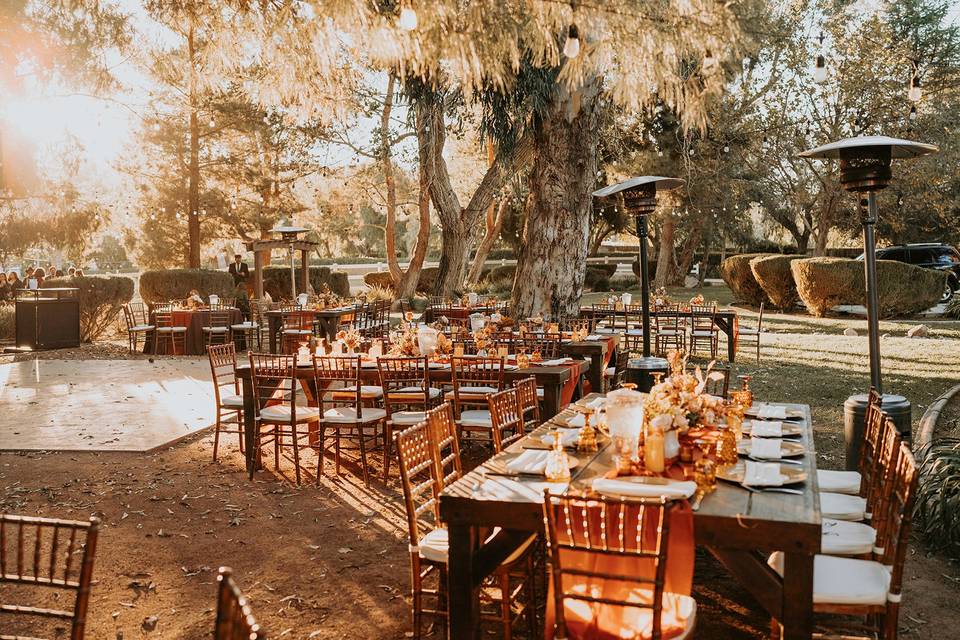 Reception w Guest Farm Tables