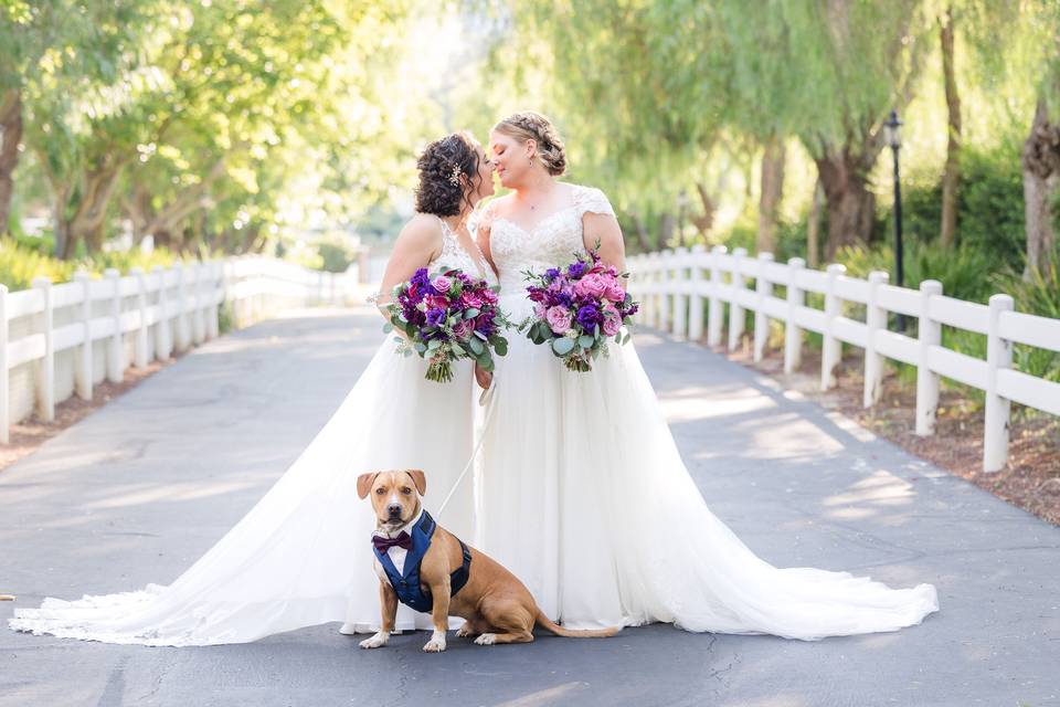 Couple Portrait