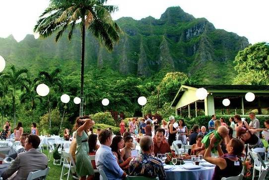 Hawaii Coffee & Tea Catering