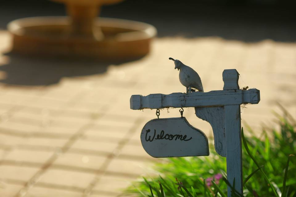 Welcome