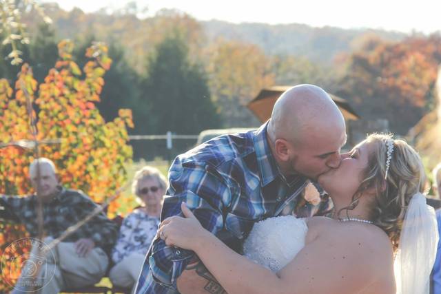 Lacey Newman Photography