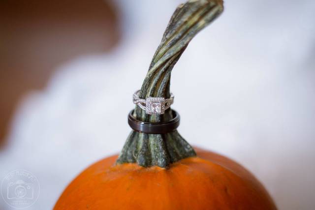 Lacey Newman Photography