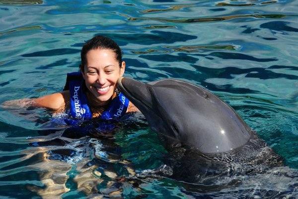 Swimming with the dolphins in Mexico.