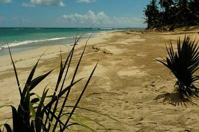 Beach at Zoetry Aqua in Punta Cana.