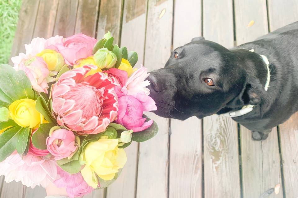 Stopping to smell the flowers