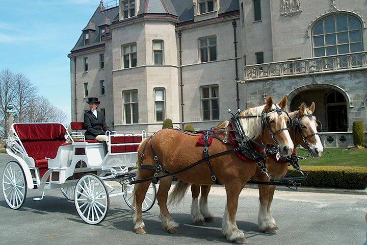 Newport Limousine Service