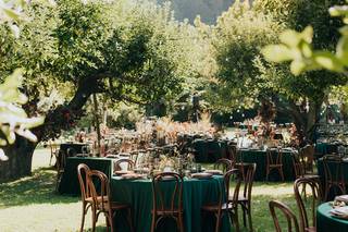 Dawn Ranch