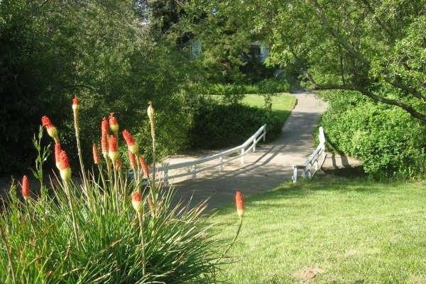 Blooming bridge over Fife creek