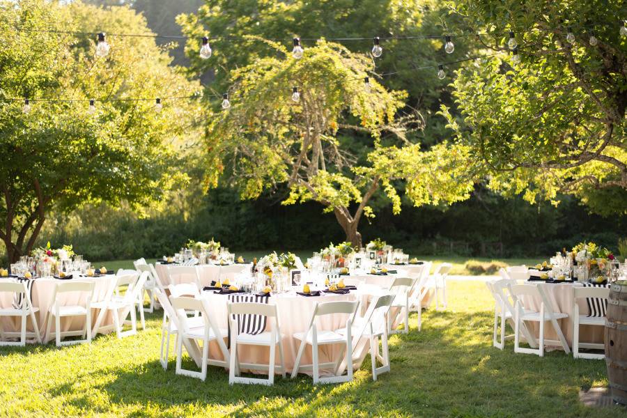 Reception in the Orchard