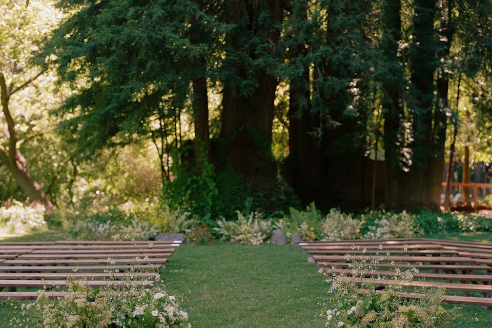 Ceremony in the Meadow
