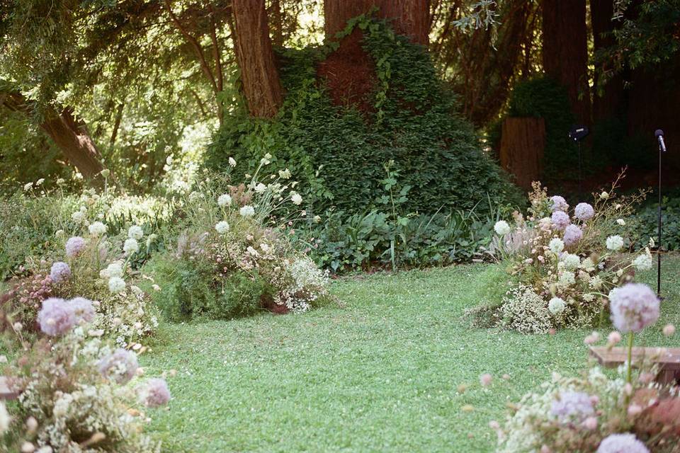Ceremony under the redwoods