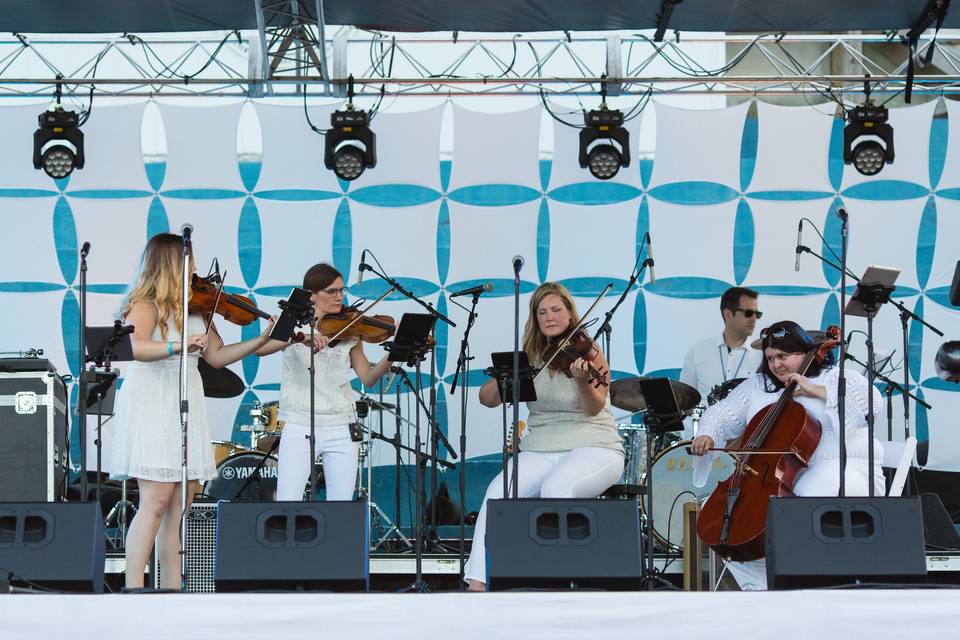 String Quartet Band