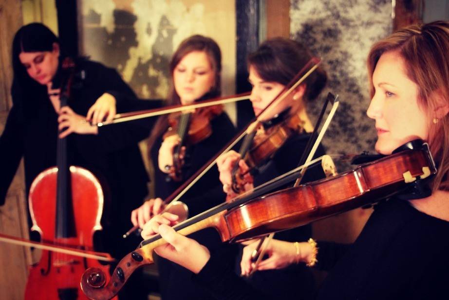 Vivace Live String Quartet