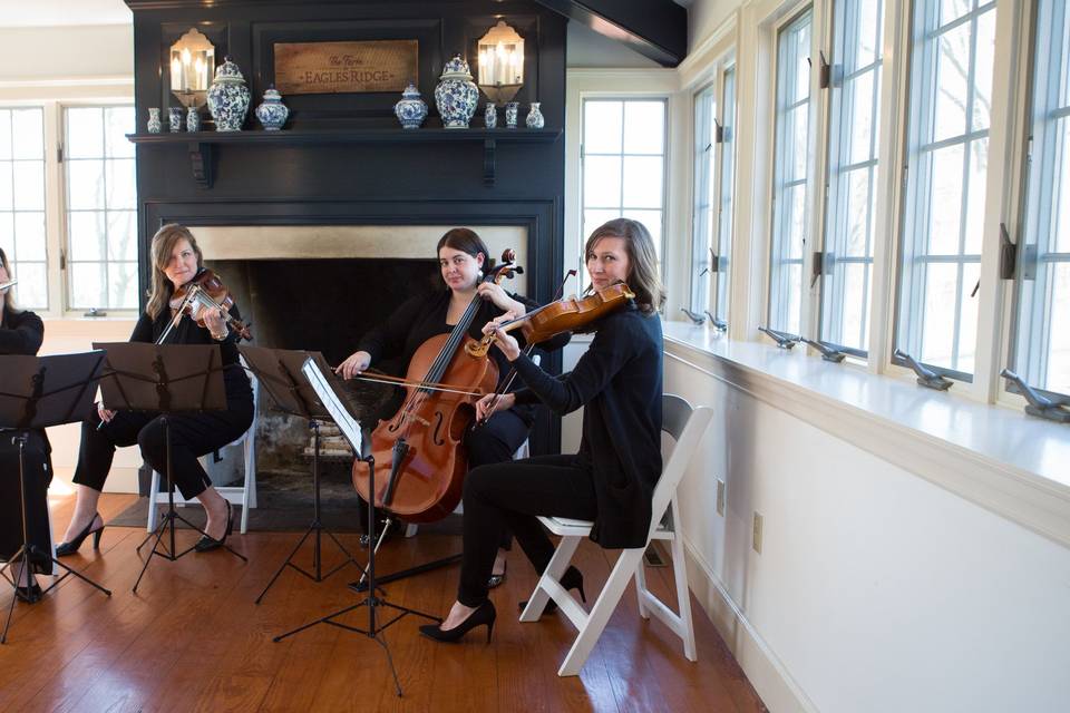 Vivace Live String Quartet