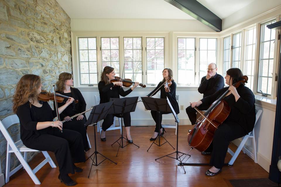 Vivace Live String Quartet