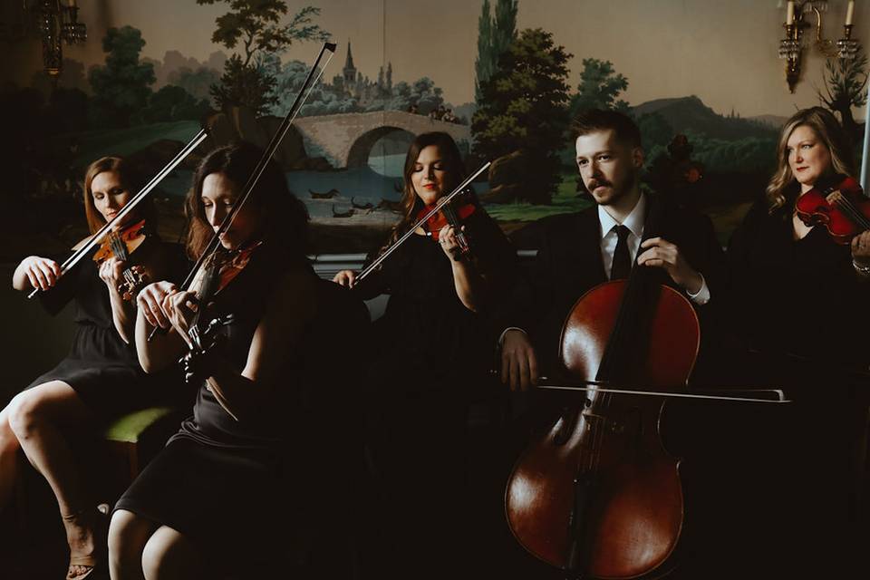 Vivace Live String Quartet