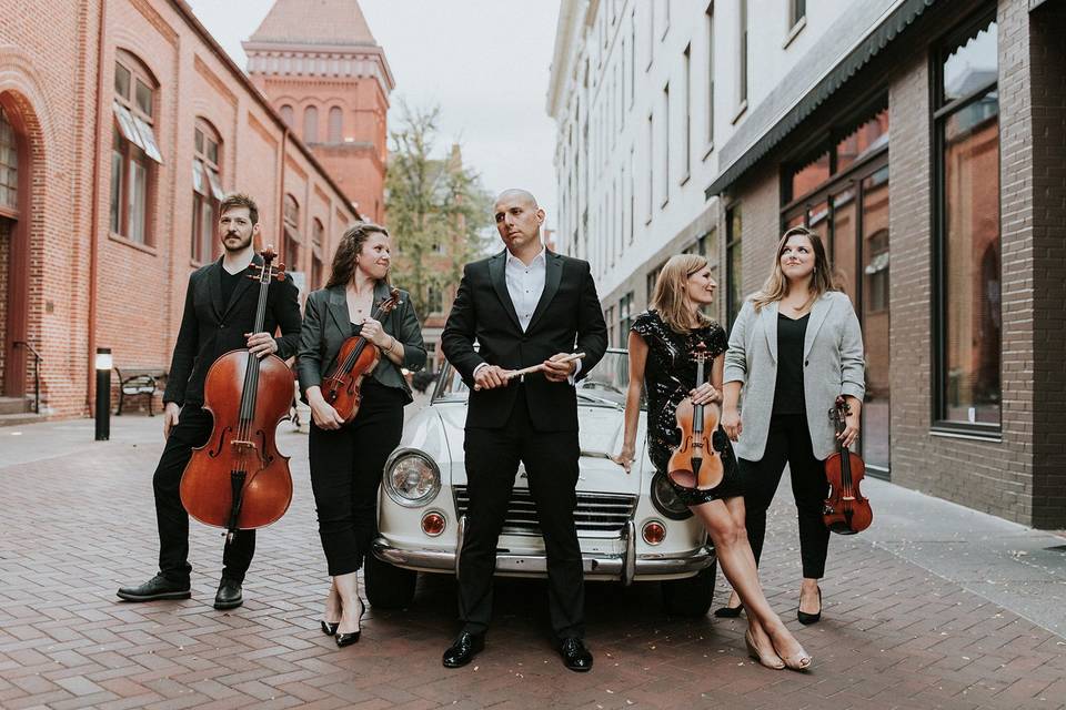 Vivace Live String Quartet