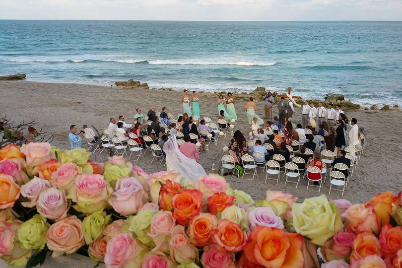 Beach Wedding