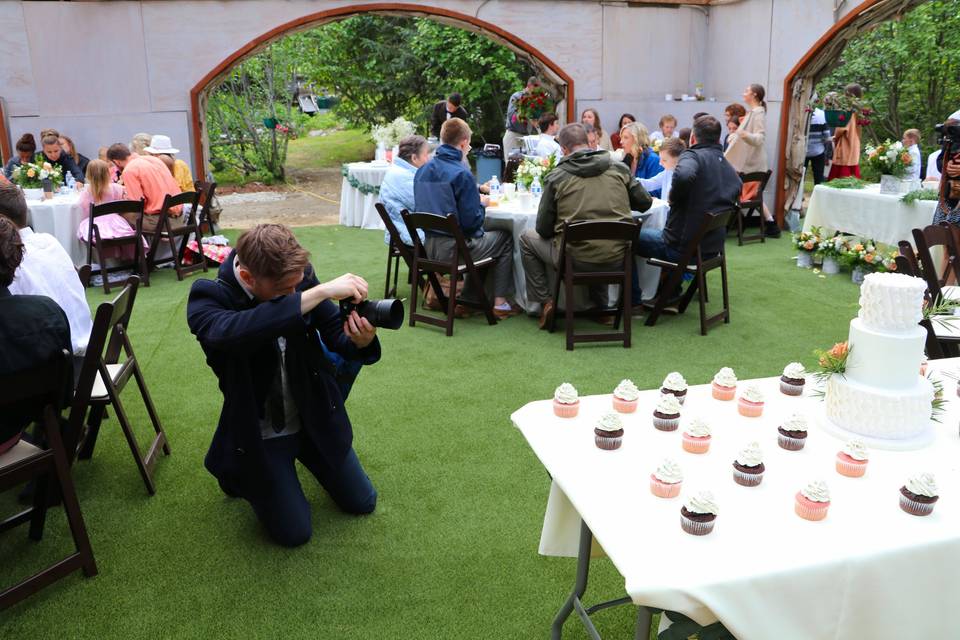 Wedding Cake & Cup Cakes