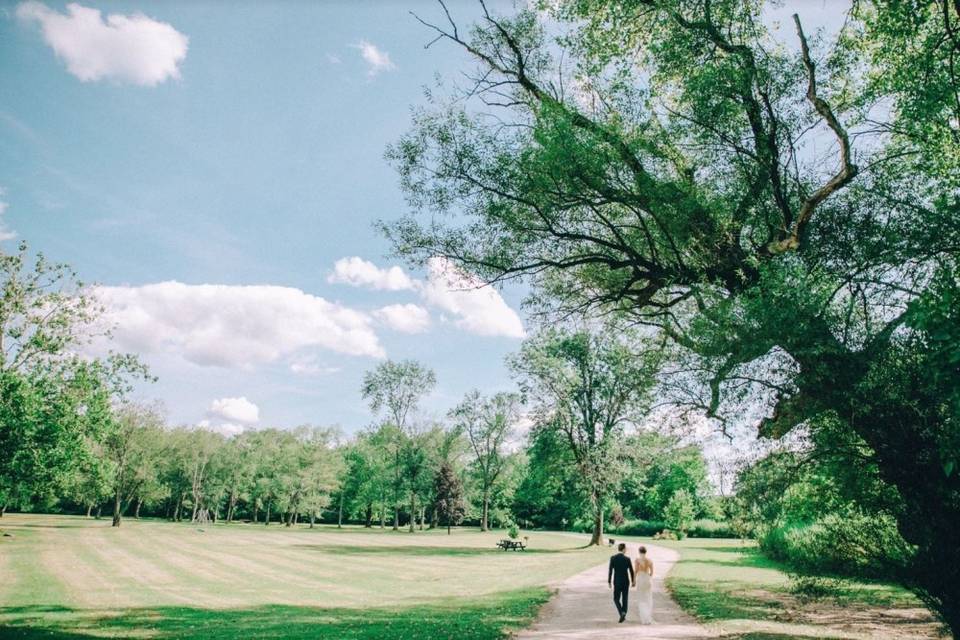 A stroll through Harrybrooke